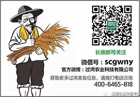 尾圖