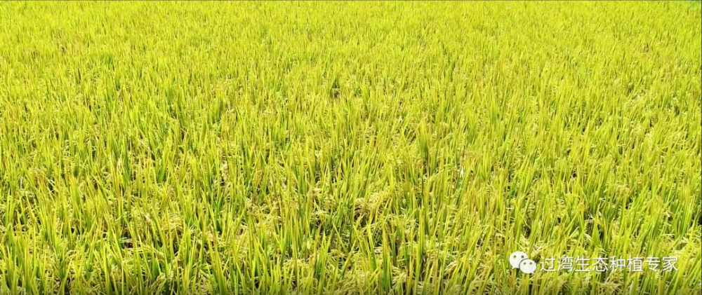 14_副本