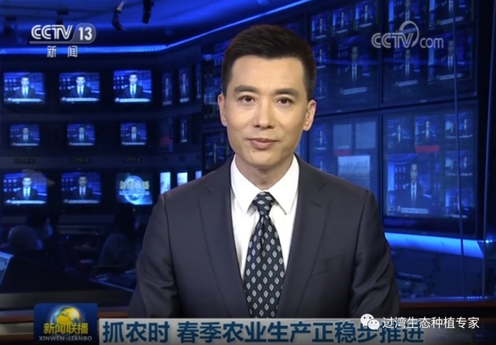 新聞_副本
