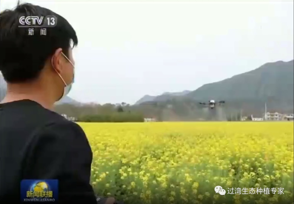 新聞2_副本