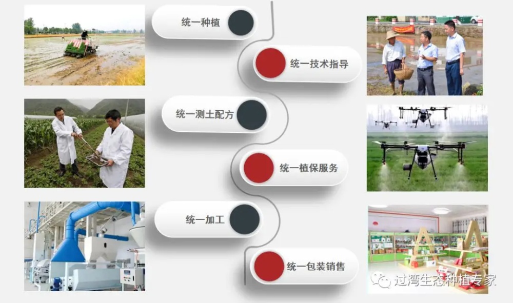 教授調研2_副本