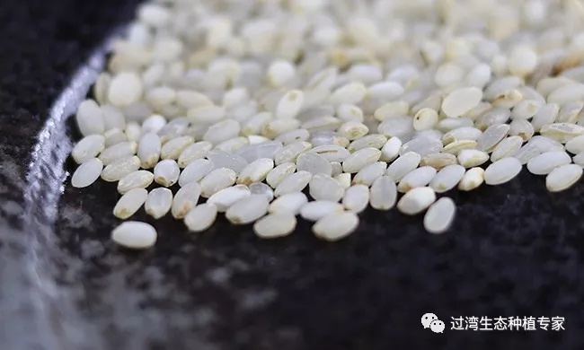 碾米機(jī)26_副本