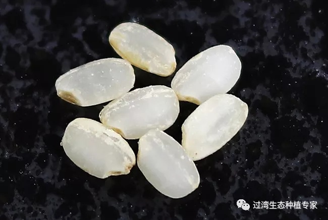 碾米機(jī)27_副本