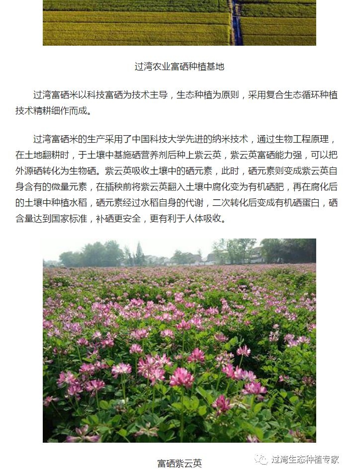 人民網(wǎng)1_副本