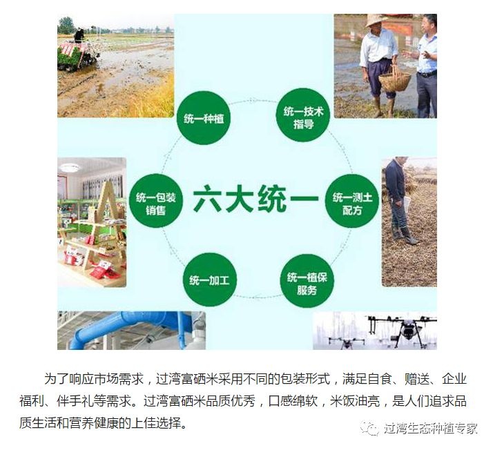 人民網(wǎng)3_副本