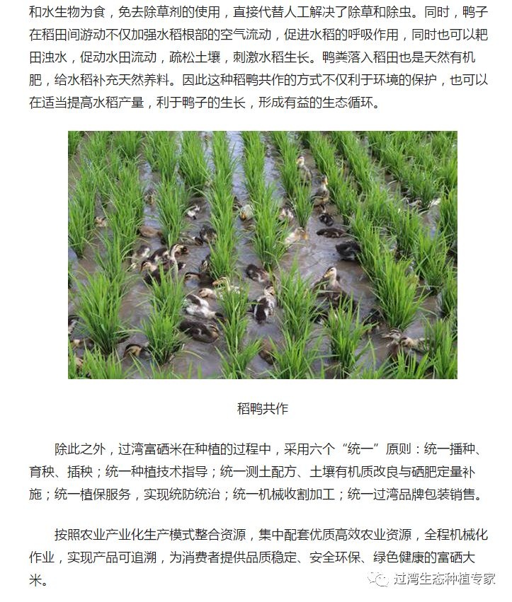 人民網(wǎng)2_副本