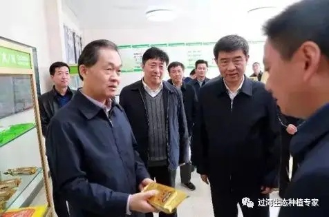 張曙光3_副本