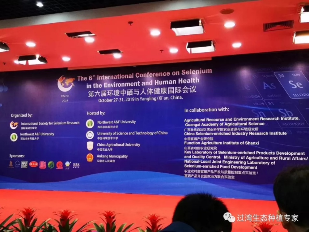 鮮芽米_副本