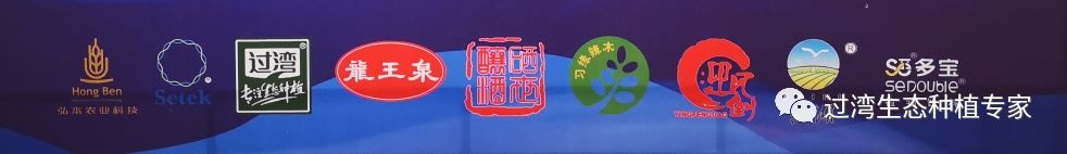鮮芽米1_副本
