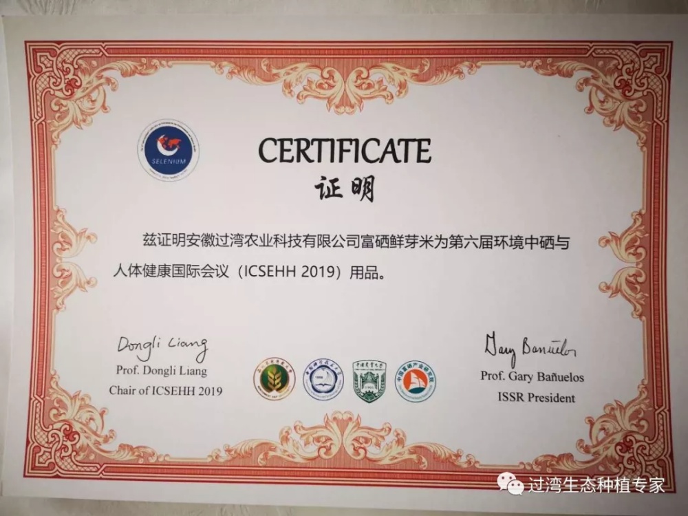 鮮芽米4_副本