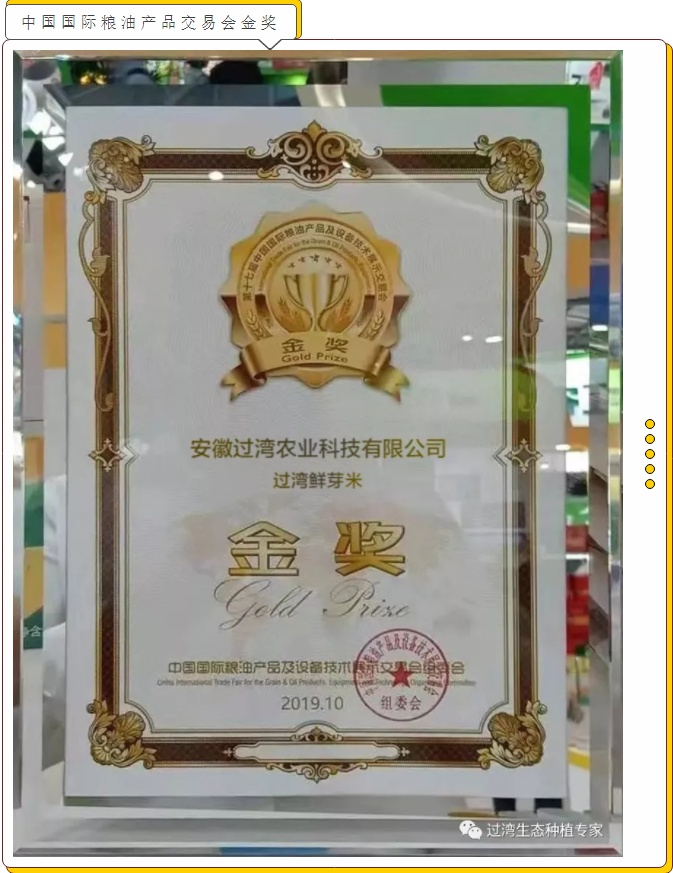 鮮芽米1_副本