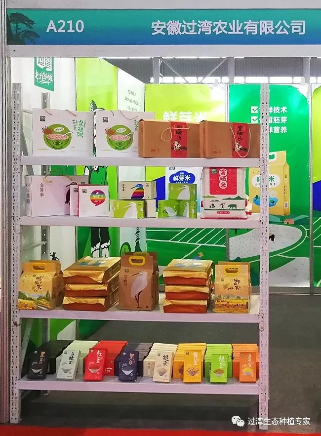 鮮芽米3_副本