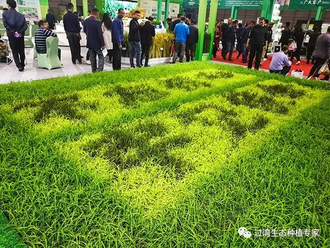 鮮芽米4_副本