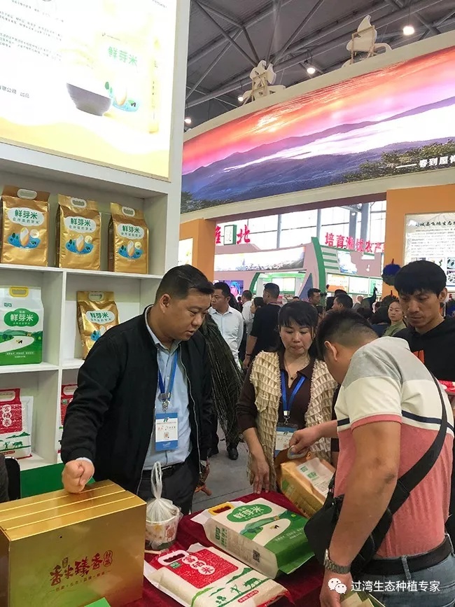 鮮芽米8_副本