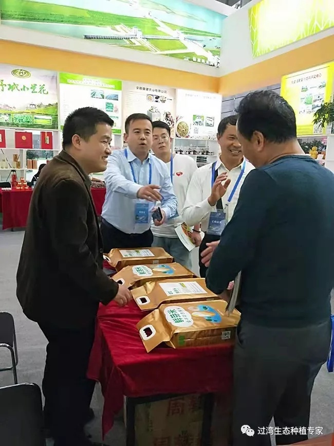 鮮芽米9_副本