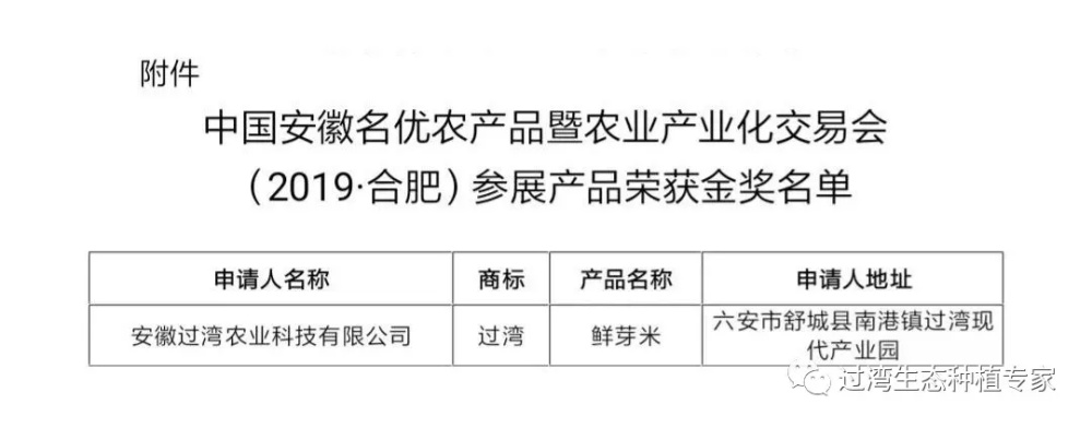 鮮芽米10_副本