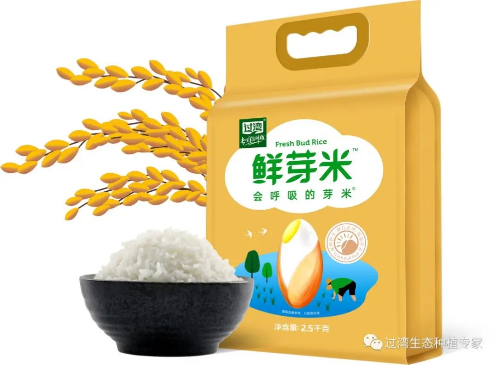鮮芽米13_副本