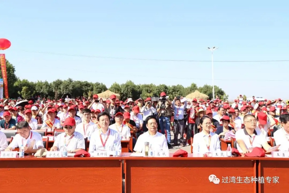 豐收節(jié)_副本