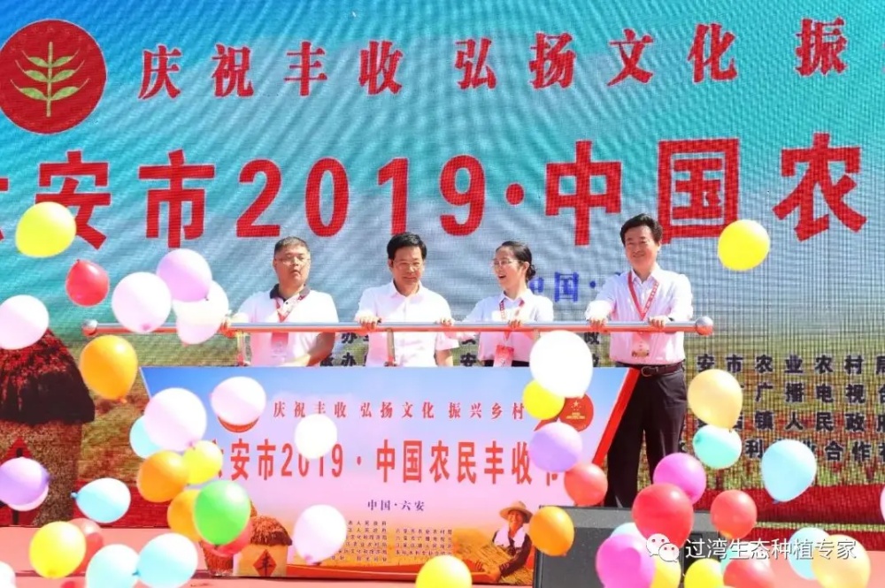 豐收節(jié)1_副本