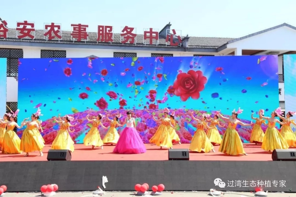 豐收節(jié)2_副本