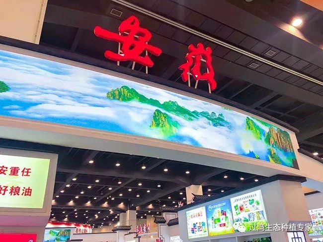 大會_副本