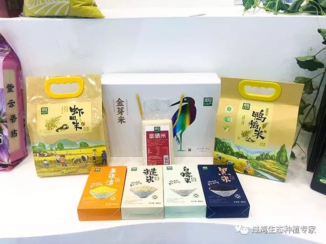 大會5_副本