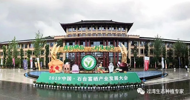 大會_副本