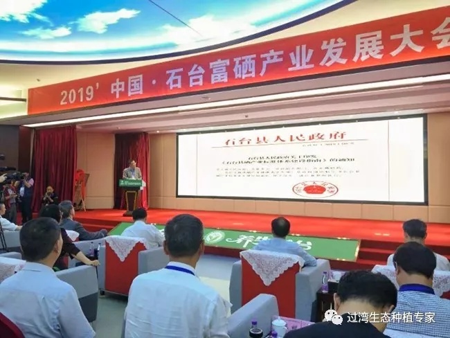 大會8_副本