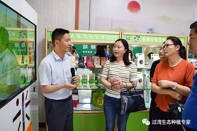 劉琴1_副本
