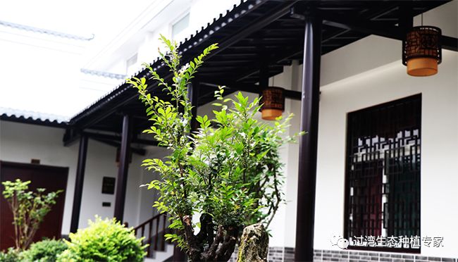 參觀5
