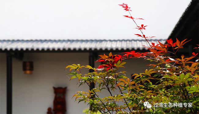 參觀6