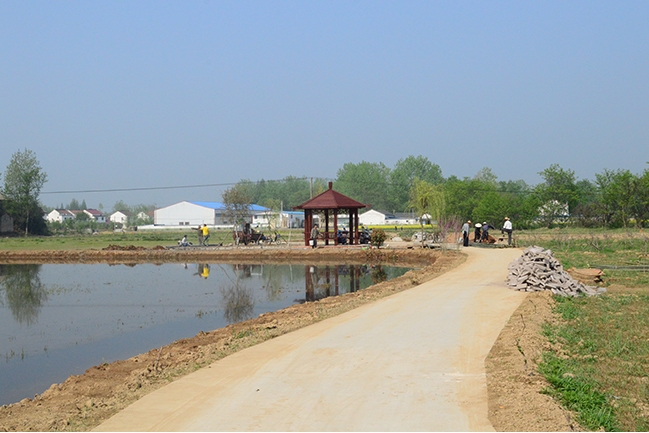 在建項目：農(nóng)業(yè)展示長廊1
