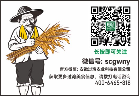 公眾號底圖